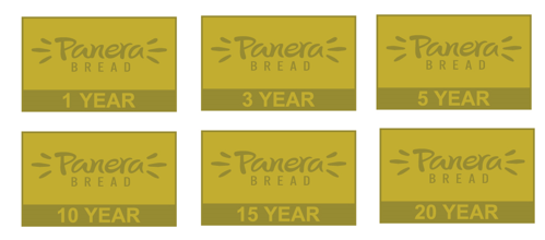 Gold Service Award Pin