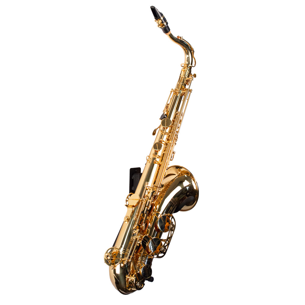tenor sax wall mount