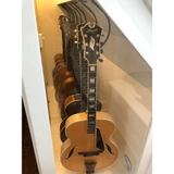 Acoustic or Electric Guitar