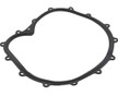 Coast Spa Monster Pump Face Plate Gasket 7HP Wetend 711-2610