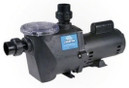 Champion 56 Frame 3 4Hp 1Sp In-Ground Pool Pump CHAMPS-107