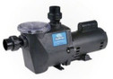 Champion Pool Pump 1 Speed 230V 2.0HP CHAMPS-120