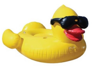 Riding Derby Duck 300lb Weight Capacity 5000