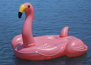 flamingo island float