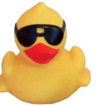 The Original Derby Duck Racer 1000