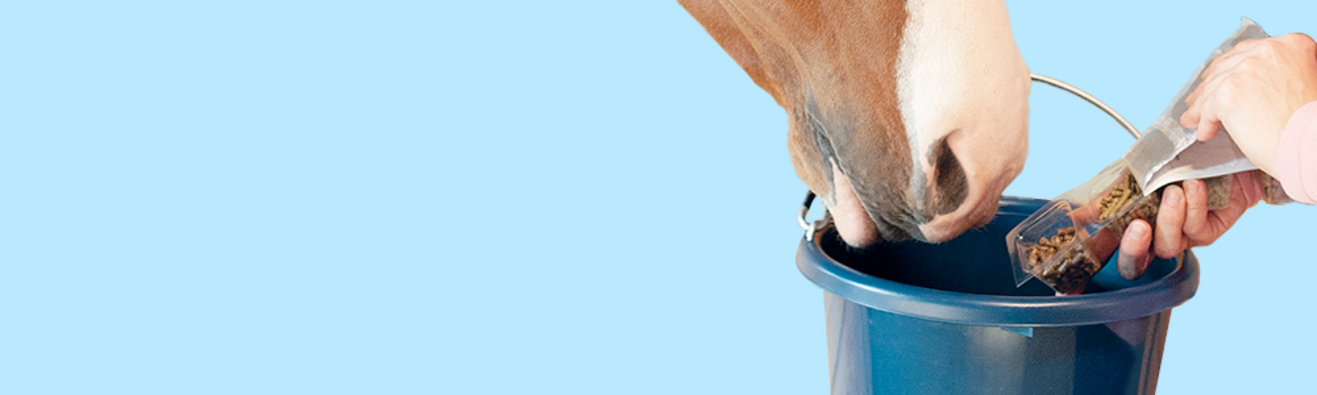 SmartPak Equine: Horse Supplements
