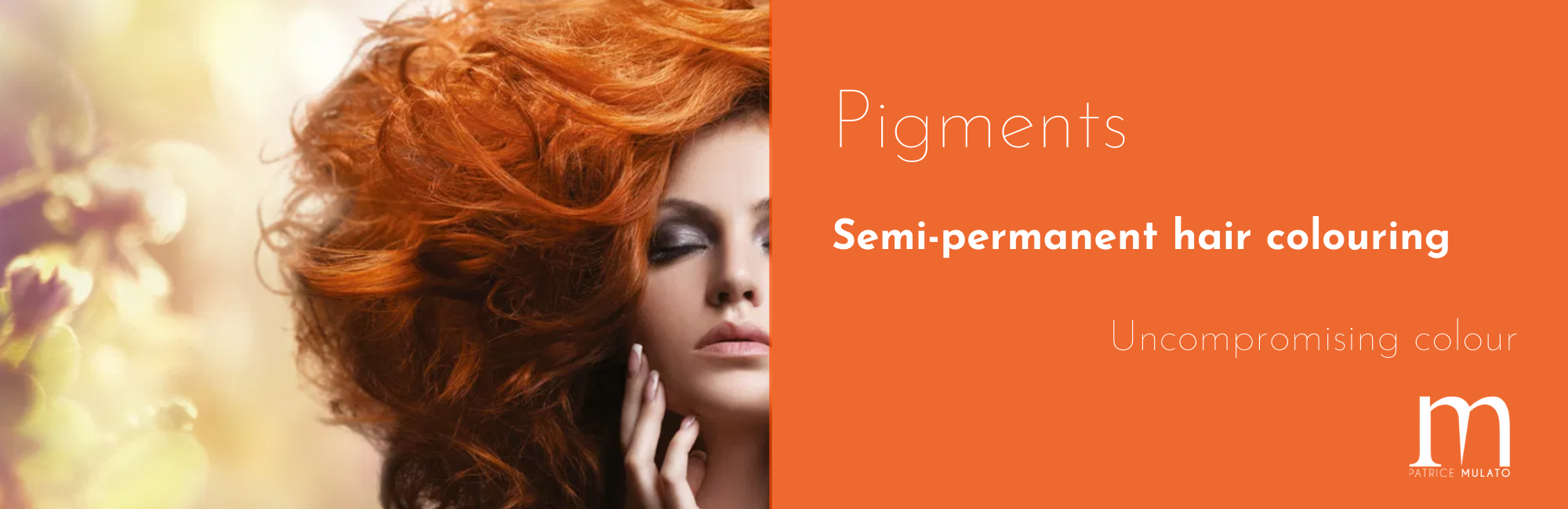 pigments-banner.png