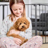 DogSpace Max Multi Expandable Dog Room Divider / Pet Pen, Black (90-350cm)  Dog