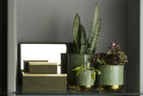 Planters - Set Of 3 (Green)