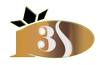 3S