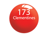 SNS Powder 1.5oz - #173 CLEMENTINES