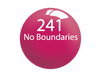 SNS Powder 1.5oz - #241 NO BOUNDARIES
