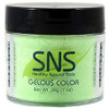 SNS Powder 1.5oz - #264 GEICO LIZARD