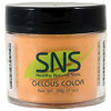 SNS Powder 1.5oz - #334 SMASHING IN PUMPKIN