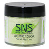 SNS Powder 1.5oz - #SC22