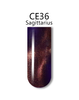 iGel 3D Cat Eye Gel Polish - #CE36 Sagittarius .5 oz