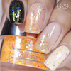 Nail Art Glitter 1oz #029