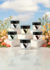 V Beauty Acrylic Powder Spring Collection - 6 Colors