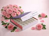 L'Fem Massage Candle Tealight .5oz. Box/72pcs - Fresh Rose