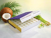 L'Fem Massage Candle Tealight .5oz. Box/72pcs - Coconut Lemongrass