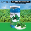 Sucre - Sugar Scrub 1 Gal - Mint