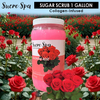 Sucre - Sugar Scrub 1 Gal - Rose