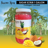 Sucre - Sugar Scrub 1 Gal - Tropical