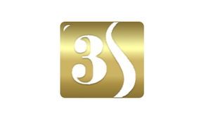 3S