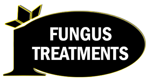 Fungus Treatments