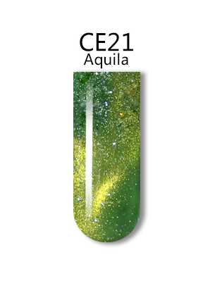 iGel 3D Cat Eye Gel Polish - #CE21 Aquila .5 oz