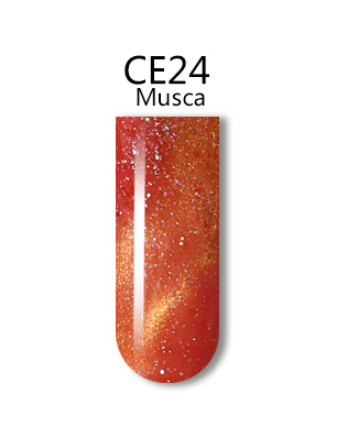 iGel 3D Cat Eye Gel Polish - #CE24 Musca .5 oz