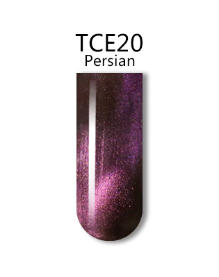 iGel 3D Cat Eye Gel Polish - #TCE20 Persian .5 oz