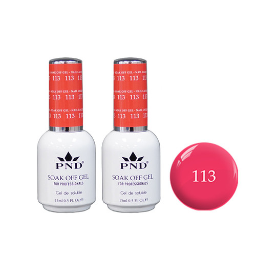 PND Duo: Gel+Gel - #113