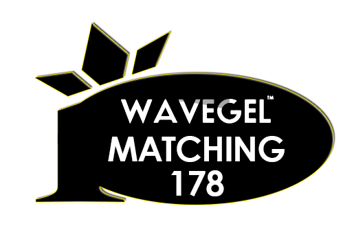 Wave 3 in 1 Combo [178]
