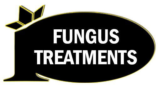 Fungus Treatments