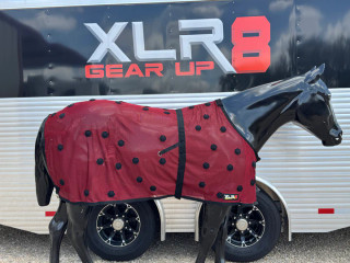 LIMITED EDITION! XLR8 Equine Velocity Therapeutic Sheet- Pink main image 1