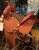 Martin BTR Barrel Saddle - 13.5” seat, 6.75” gullet.