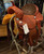 Martin BTR Barrel Saddle - 13.5” seat, 6.75” gullet.