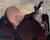 Martin Guardian Barrel Saddle - 13” seat, 7” gullet.