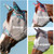 Cashel Fly Mask
