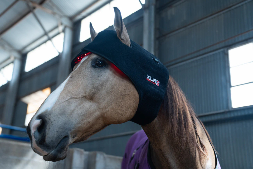 XLR8 Equine Redline VersaWrap main image 1