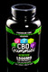 100 Count CBD Gummies - CBD251