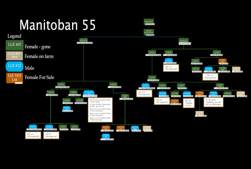 55-family-tree.jpg