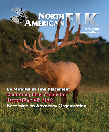 Luckyland Elk In the News