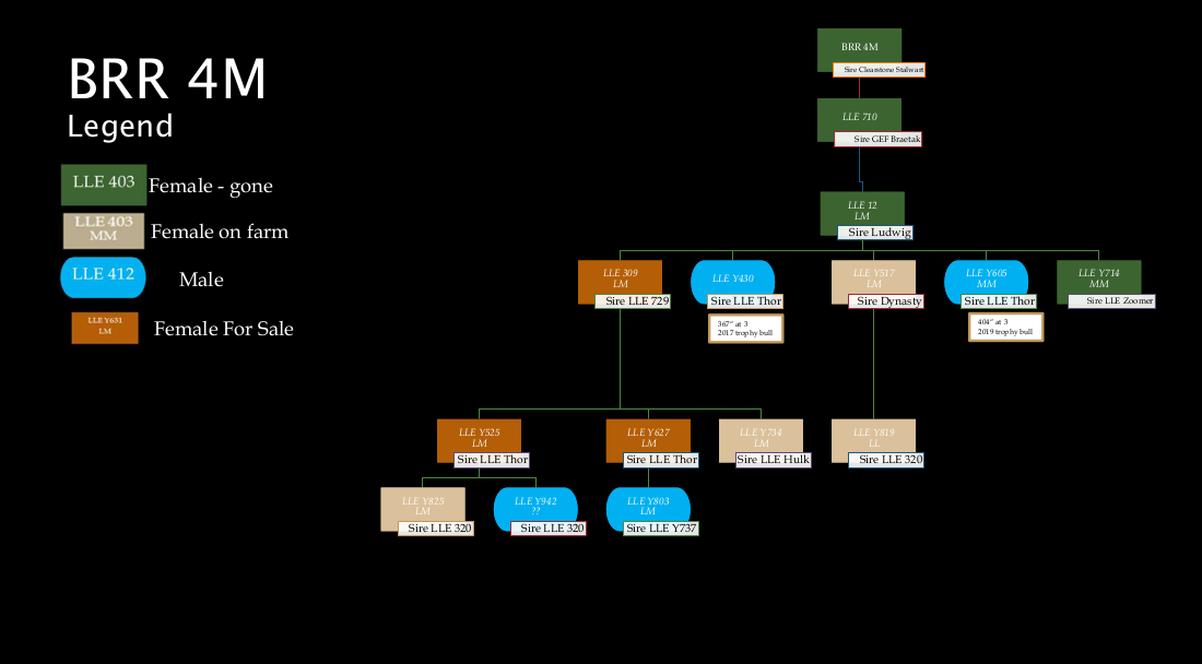 pedigree-current-brr-4m.jpg