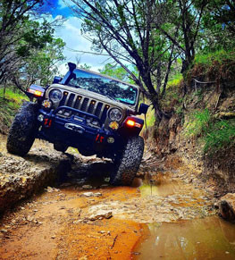 Ruby's 2020 Gladiator