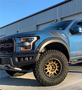 Brad's 2019 Raptor