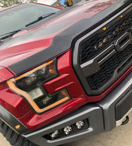 Blake's 2019 Raptor