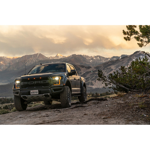 fox-stock-photo-my19-raptor-