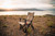 Camp Chair 13